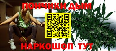 индика Ливны