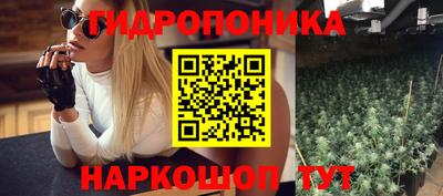 индика Ливны