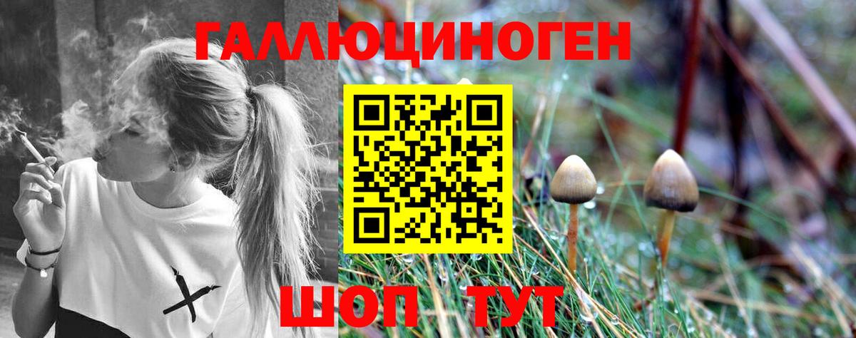 Галлюциногенные грибы GOLDEN TEACHER Екатеринбург